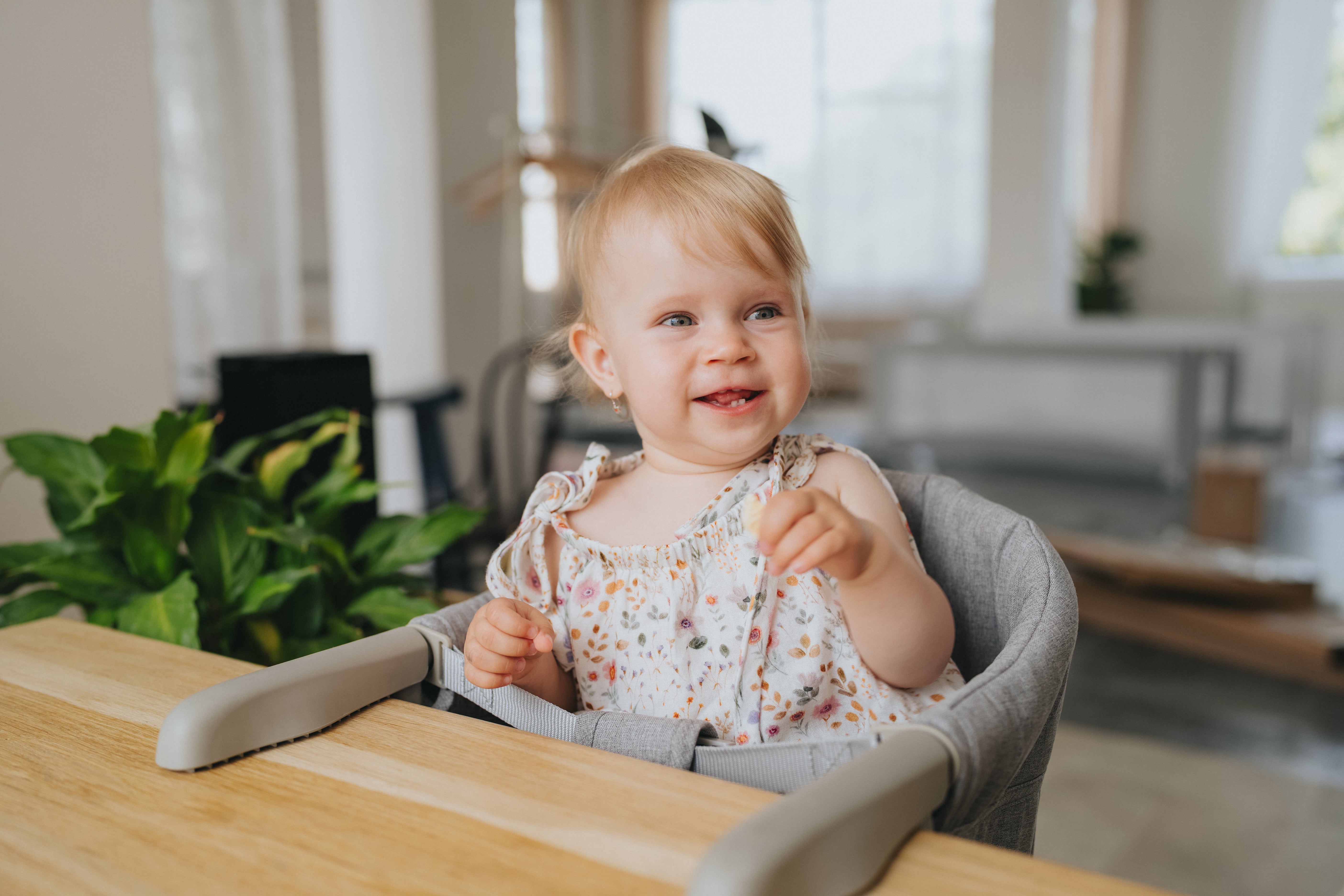 Cestovní jídelní židlička Monkey Mum® - šedá - rozbalená